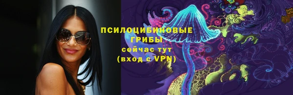 спайс Новозыбков
