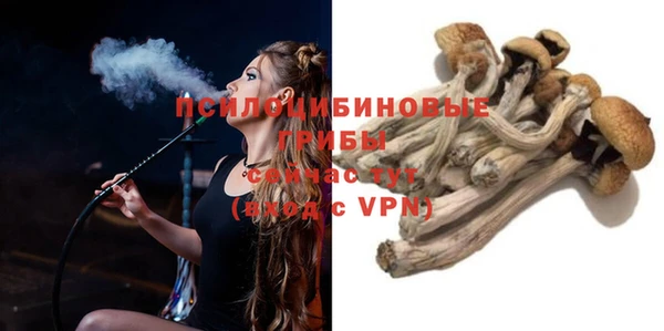 прущая мука Новодвинск