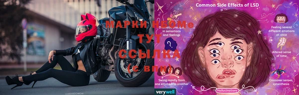 спайс Новозыбков