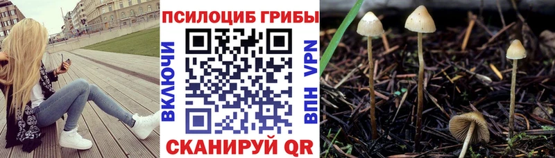 Псилоцибиновые грибы Cubensis  Остров 